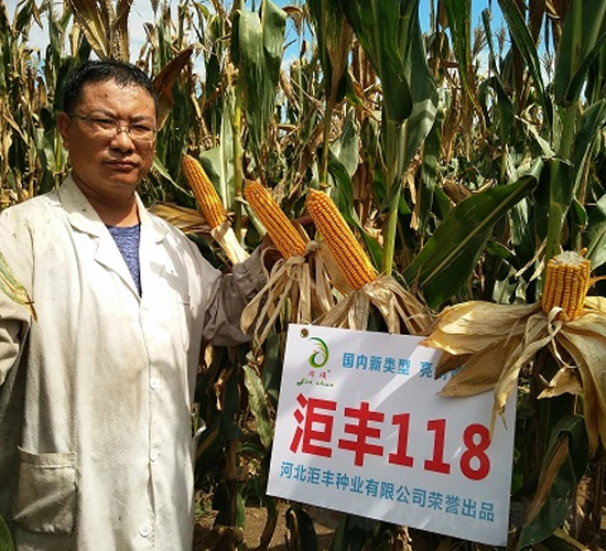 ���S118-���׷N��-���S�N�I(y��)