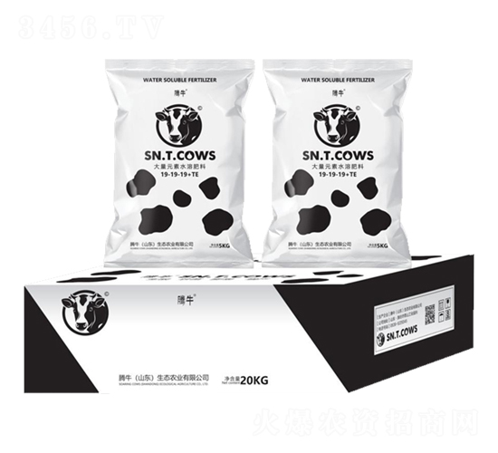 ����Ԫ��ˮ�ܷ���19-19-19+TE-�vţ