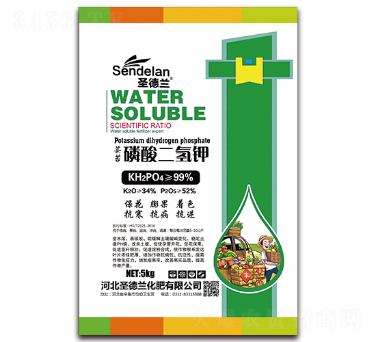 �|̦��������-ʥ���m