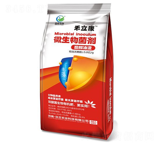 ø������΢�������-������-�����r��