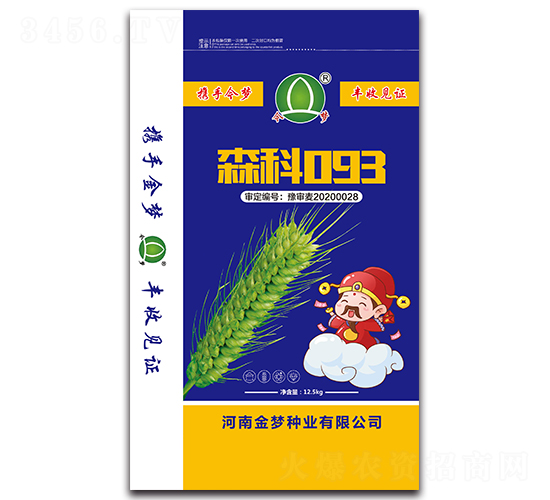 ɭ��093-С���N��-�����N�I(y��)