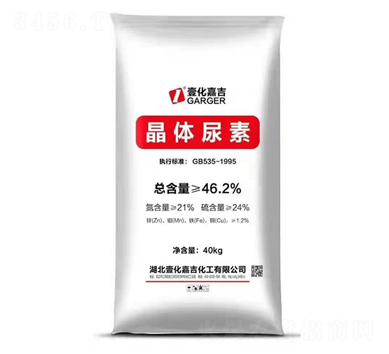 ���w����-Ҽ���μ�