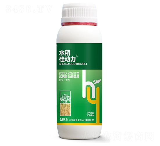 ˮ�����(d��ng)��-�������