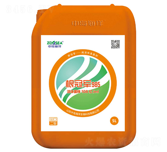 985��Һ-����܊-�Ѝu����