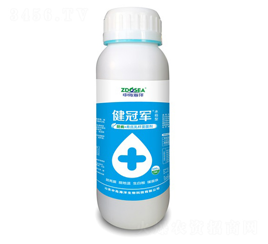 ����܊-�Ѝu����