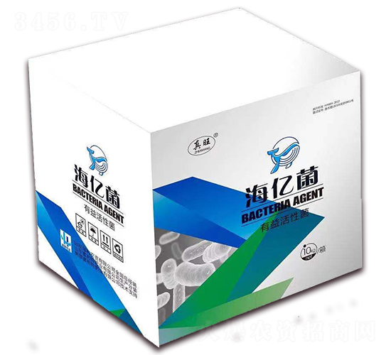 ���|��-����-�����S