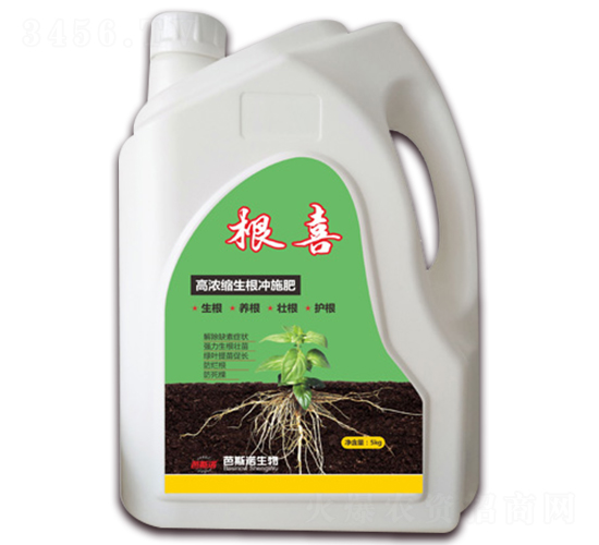 �ߝ�s�����_ʩ��-��ϲ-��˹�Z