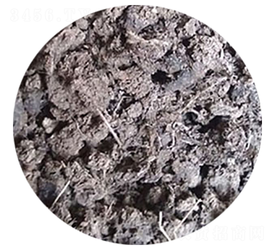 ��Ȼ�����u�S-�������