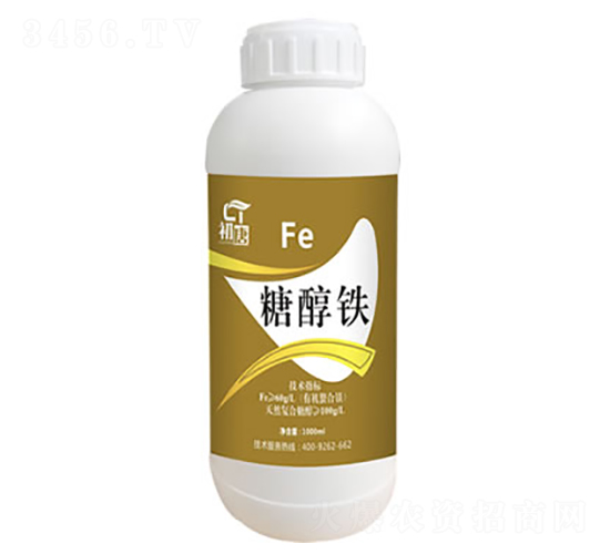 �Ǵ��F-����-�֮��