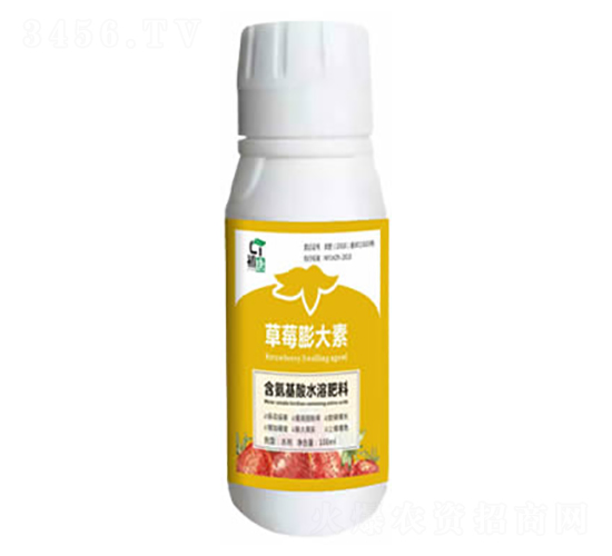 ��ݮ�����-����-�֮��