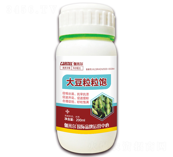 �������-٤�נ�-ľ�̼ь�