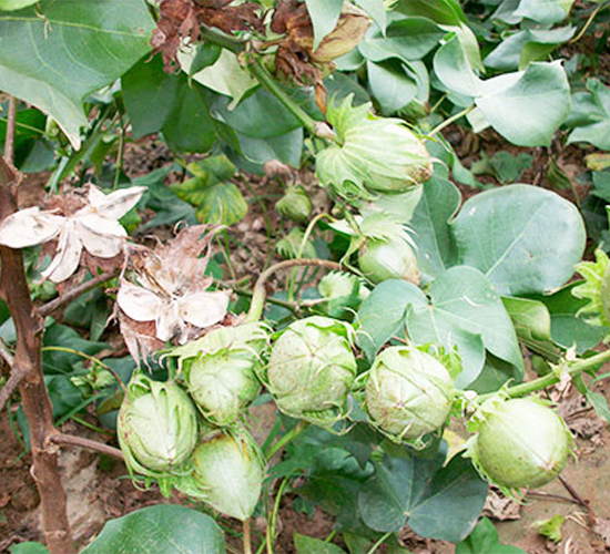 ���s��23̖(h��o)-�޻��N��-���S�r(n��ng)�I(y��)