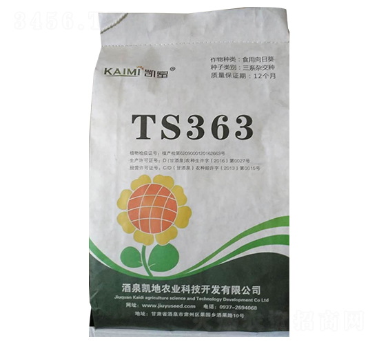 TS363���տ��N��-����N�I(y��)