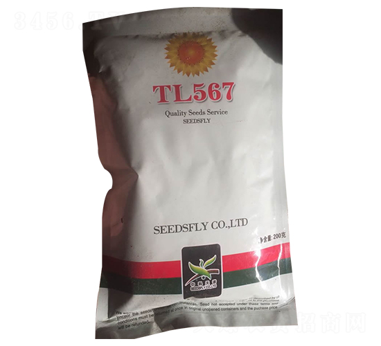 TL567���տ��N��-����N�I(y��)