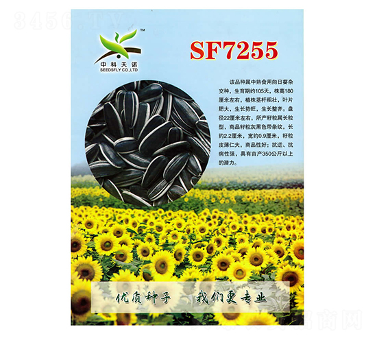 SF7255���տ��N��-����N�I(y��)