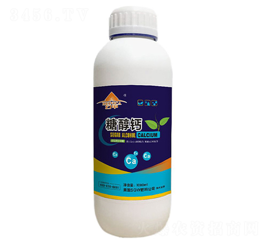 �Ǵ��}-�ü�-�V���ƈD