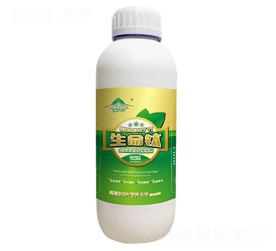 �����-�ü�-�V���ƈD