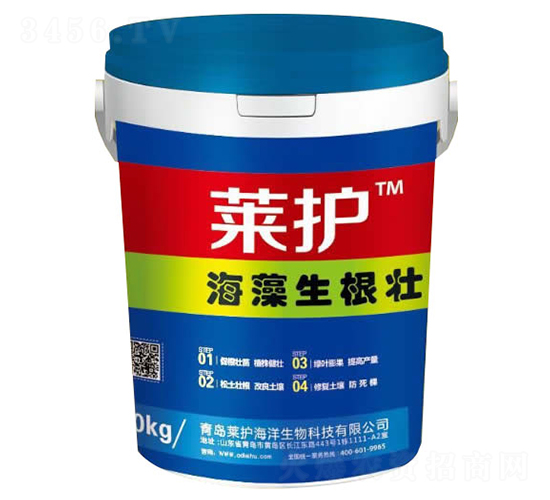 ����������-�R�o(h��)-����