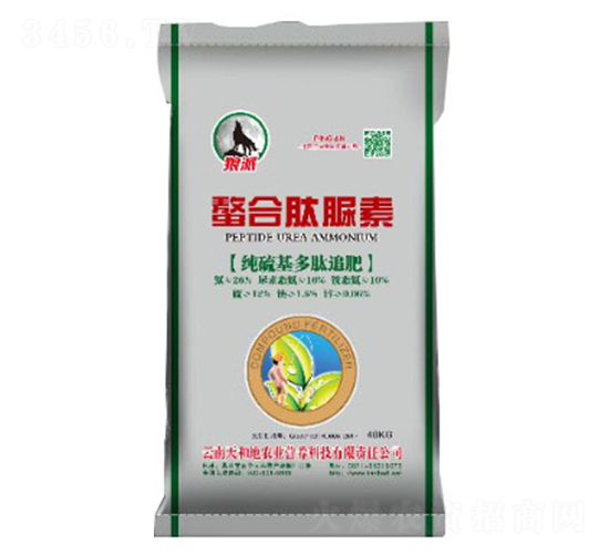 ���������׷��-����������-����