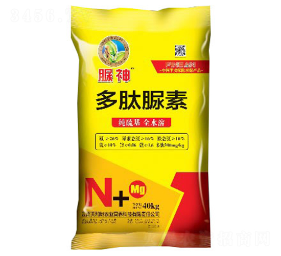 ��������-����-����