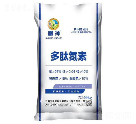 ���ĵ���-����-����