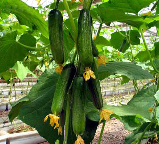 ��(r��n)�S9-�S�ϷN��-�r(n��ng)֮��(r��n)