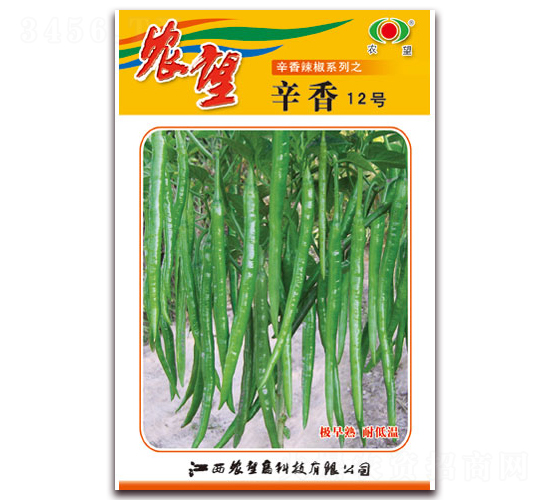 ����12̖-�����N��-�r��