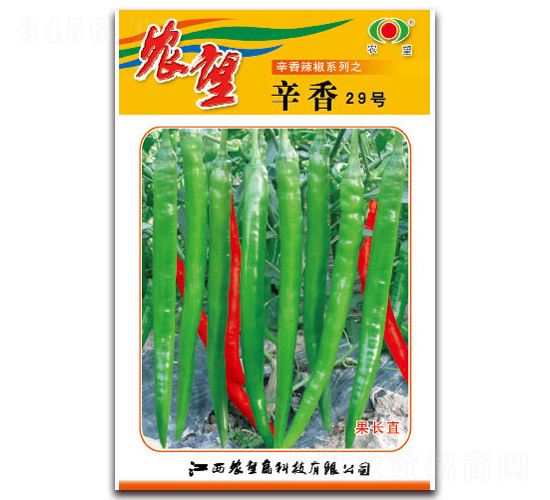 ����29̖-�����N��-�r(n��ng)��