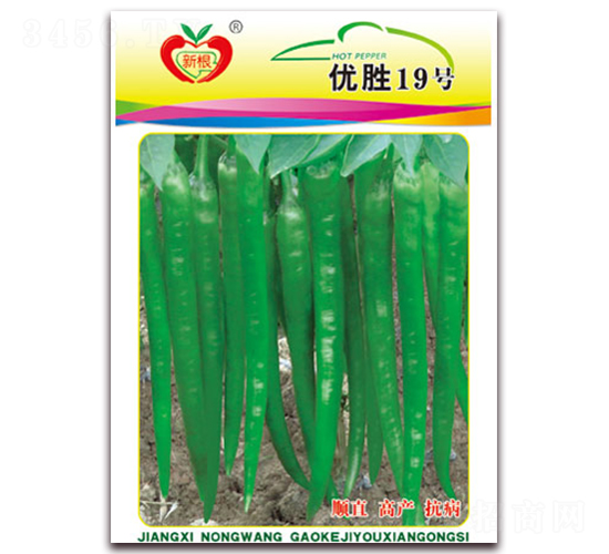 ��(y��u)��19̖-�����N��-�r(n��ng)��