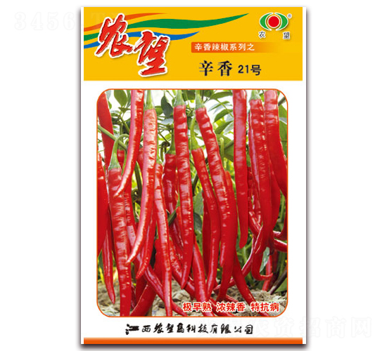 ����21̖(h��o)-�����N��-�r(n��ng)��