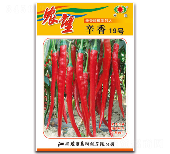 ����19̖-�����N��-�r(n��ng)��