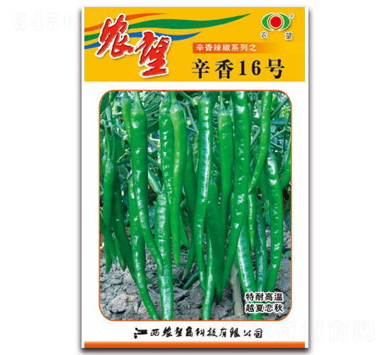 ����16̖-�����N��-�r(n��ng)��