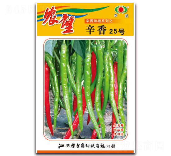 ����25̖-�����N��-�r��