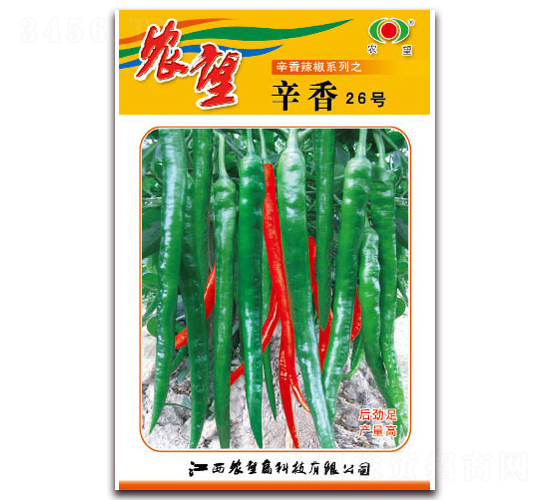 ����26̖-�����N��-�r(n��ng)��