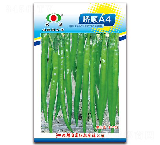 ���A4-�����N��-�r(n��ng)��