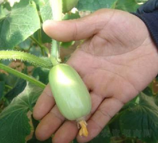 �M��Ĵָ�S��-�S�ϷN��-�r(n��ng)֮��