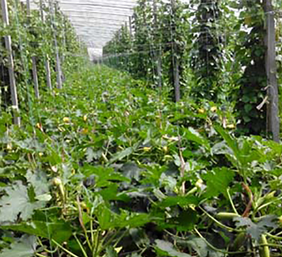 ����һ̖(h��o)�����J�N�ӌ�(sh��)���D