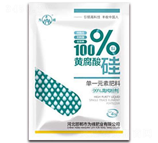 �S�����-���ʘI(y��)