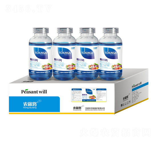 �Ǵ��}-�r�ڌ�-�����S