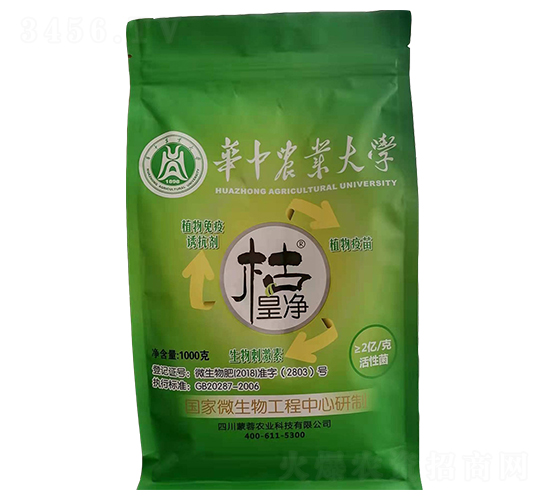 ֲ�������T����-����