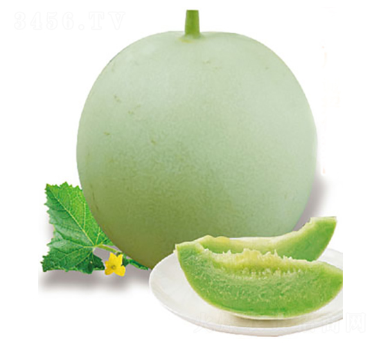 �������-��ϷN��-�߶˷N�I(y��)