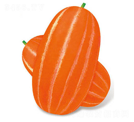 ���o����һ̖���-��ϷN��-�߶˷N�I(y��)