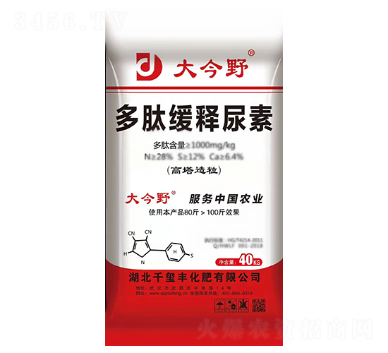 ���ľ������-���Ұ-ǧ�t�S