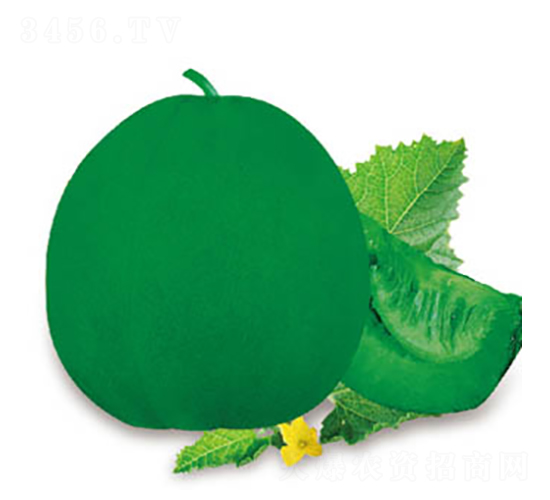 �����G��-��ϷN��-�߶˷N�I(y��)