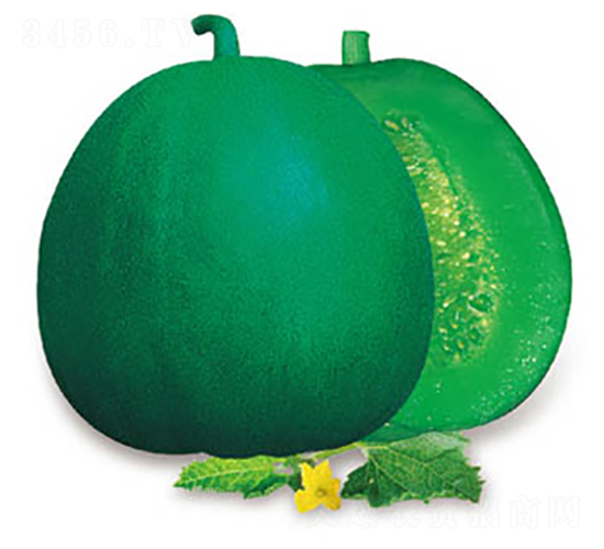 �G��6̖-��ϷN��-�߶˷N�I(y��)