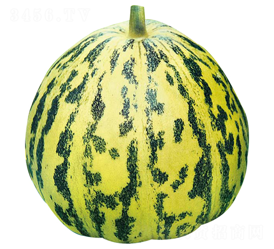 ��������-��ϷN��-�߶˷N�I(y��)