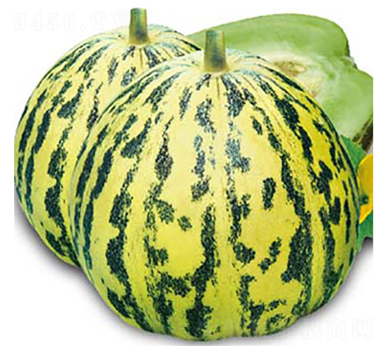 ����-��ϷN��-�߶˷N�I(y��)