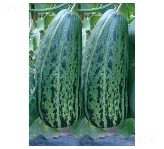 ����2̖(h��o)-��ϷN��-�߶˷N�I(y��)