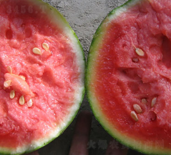 �н��t��-���ϷN��-�н��N�I(y��)