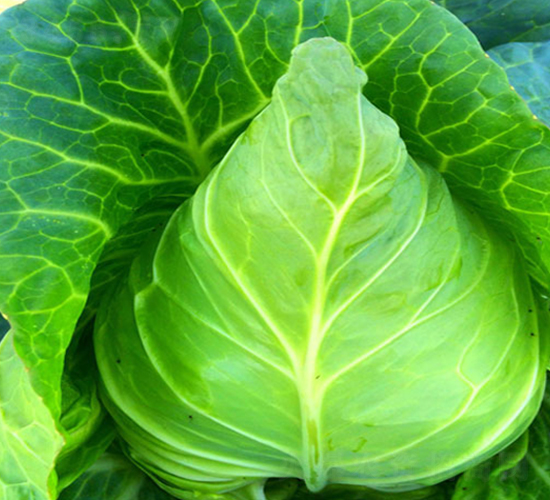 ���S009-���{�N��-�н��N�I(y��)